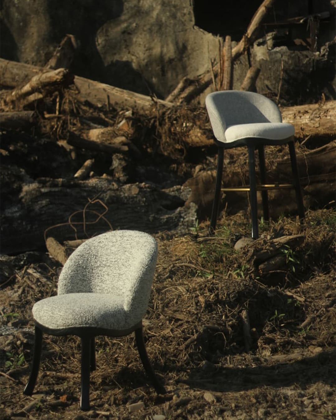 Velora chair pair in wooded set